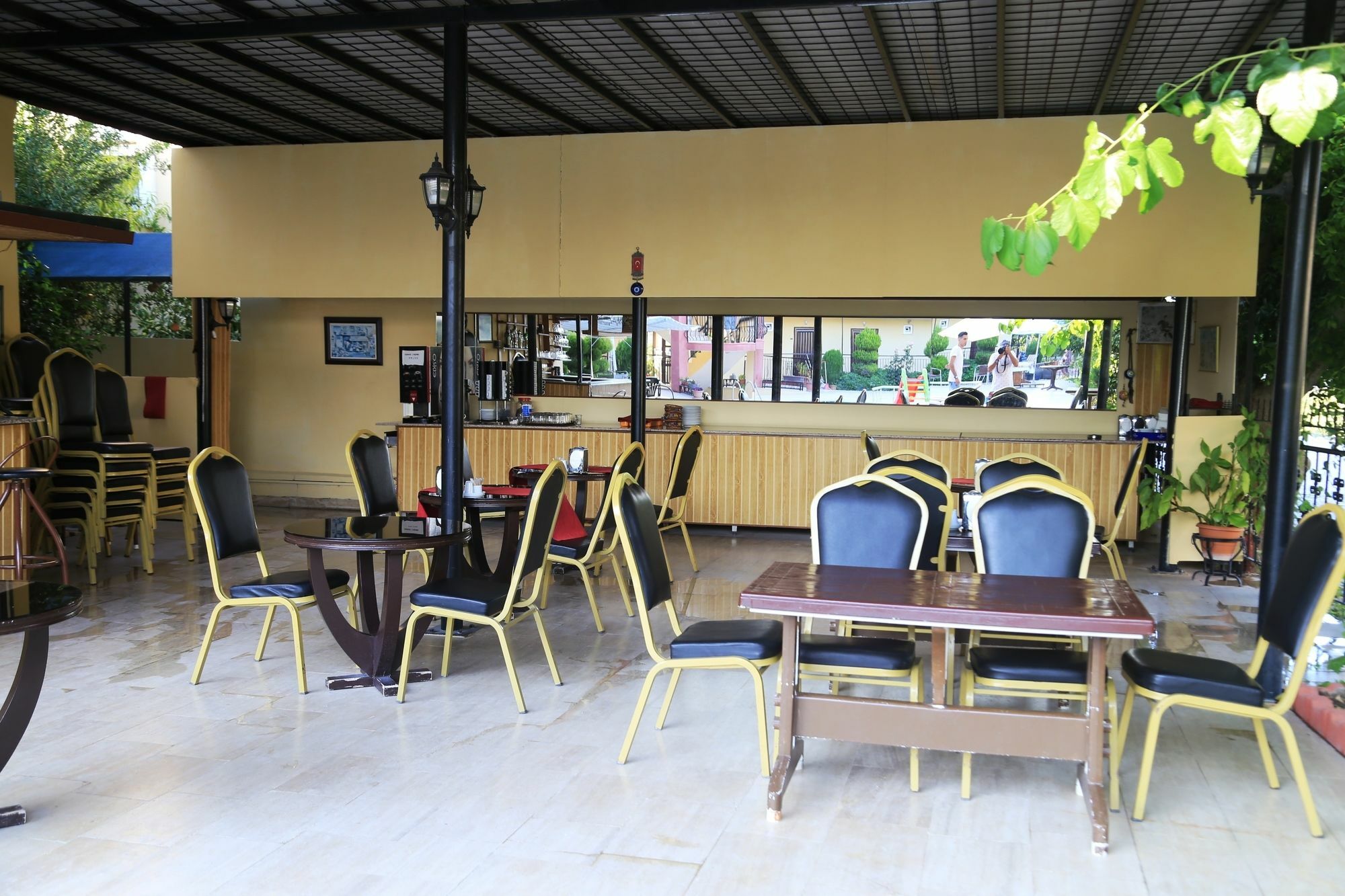 Las Palmeras Hotel Camyuva 외부 사진